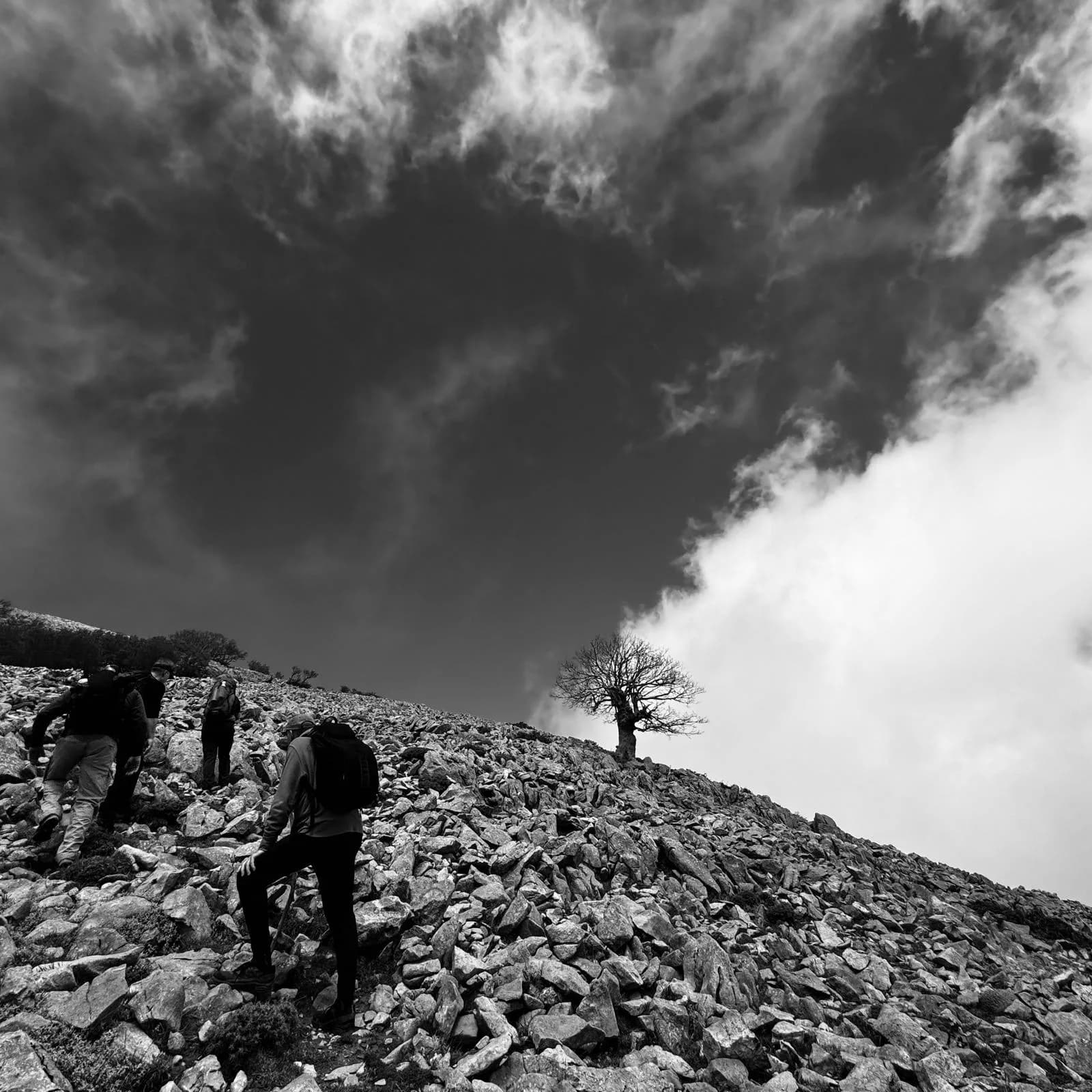 Hikers on a rocky slope in the Madonie mountains