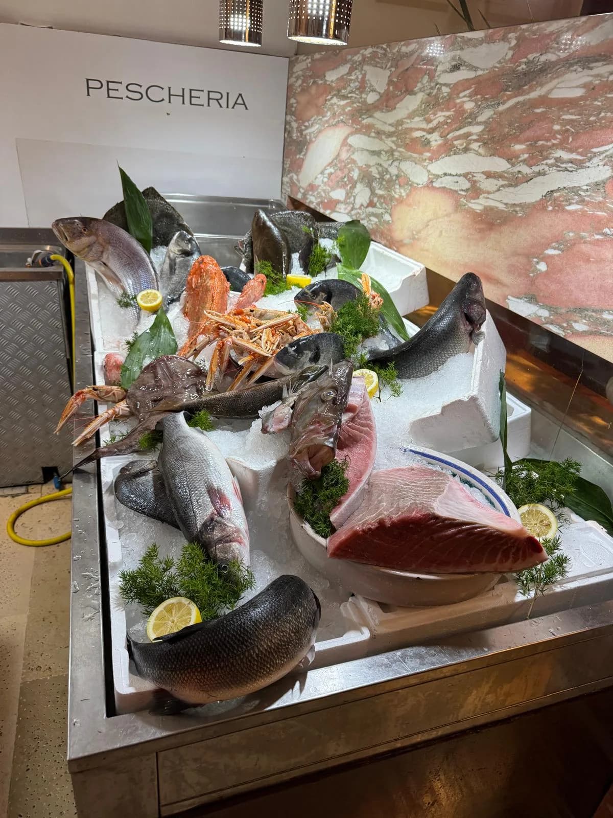 Fresh fish on ice at the pescheria in Cefalù