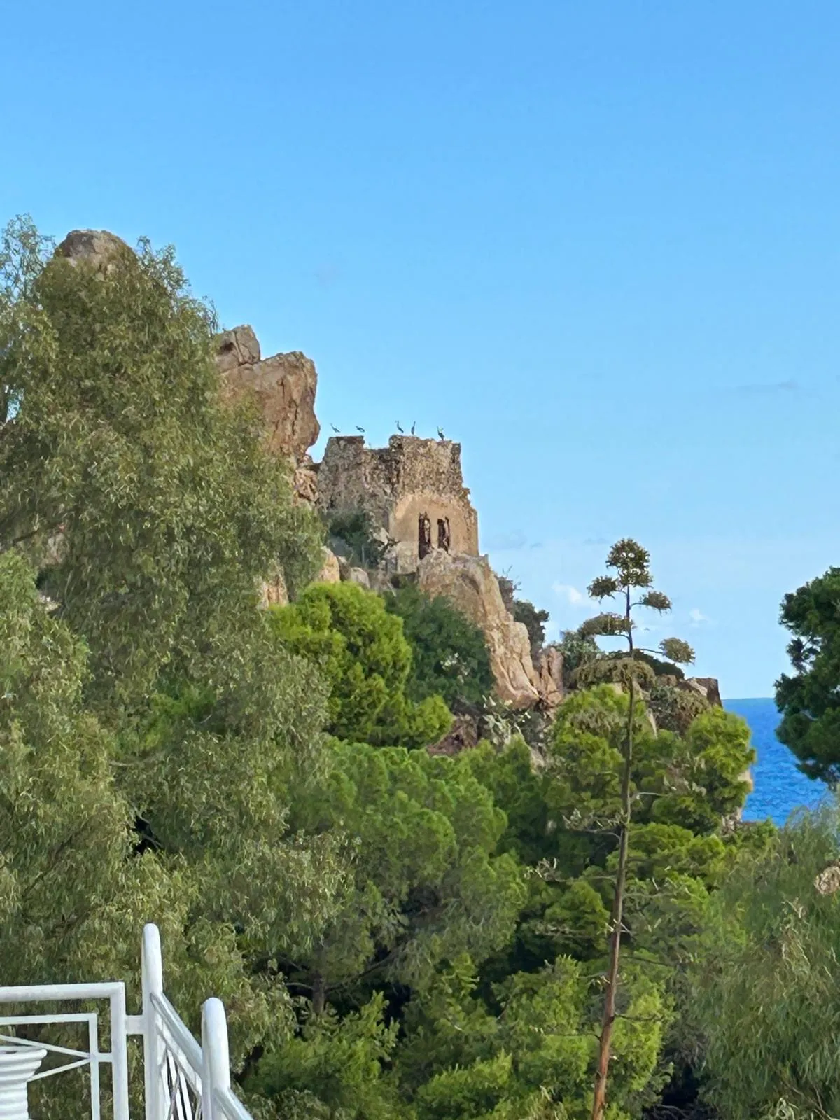 Kalura watchtower ruins seen through Mediterranean pines