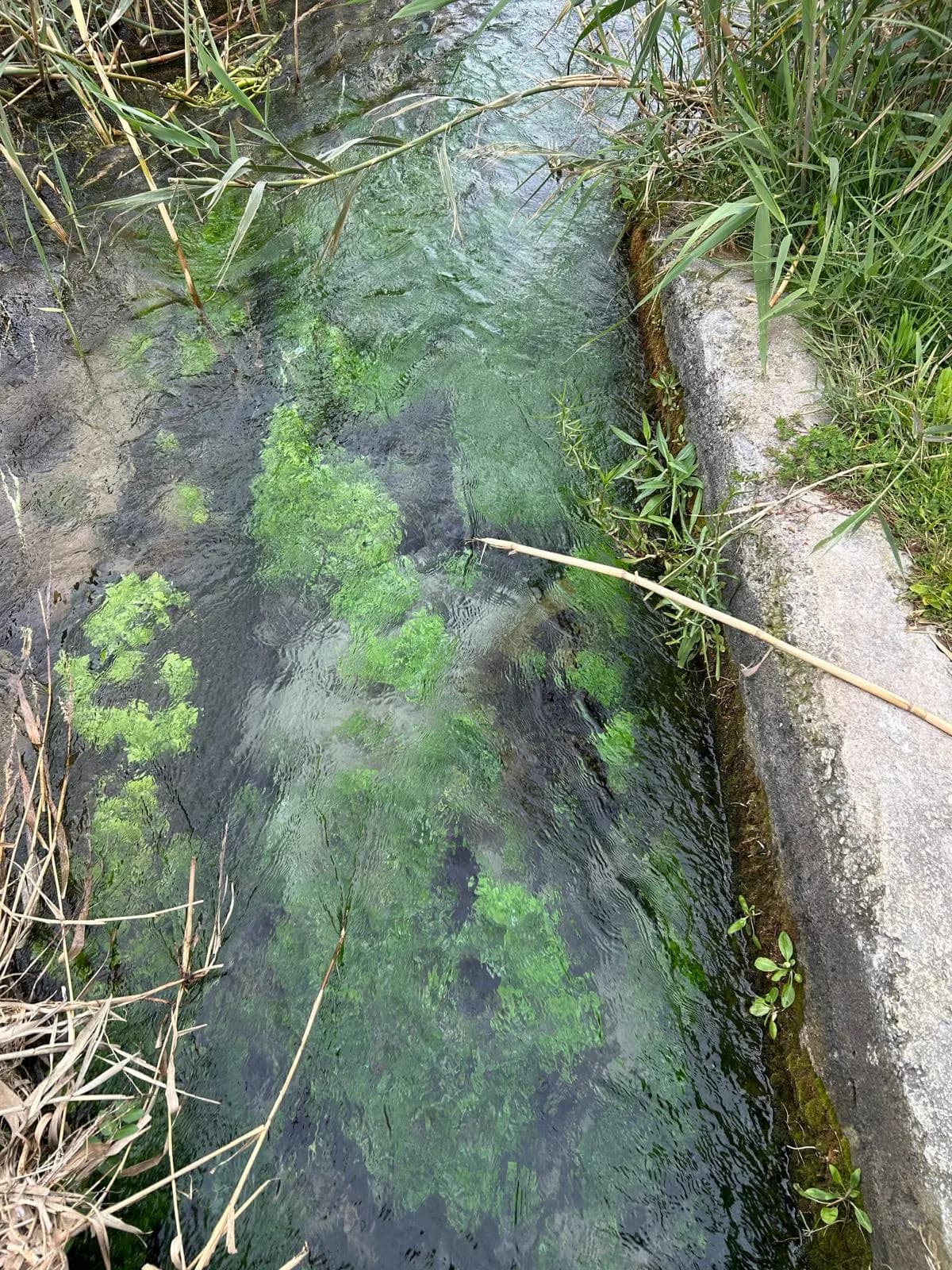 Clear water flowing through the ancient stone channel of the Lavatoio Medievale